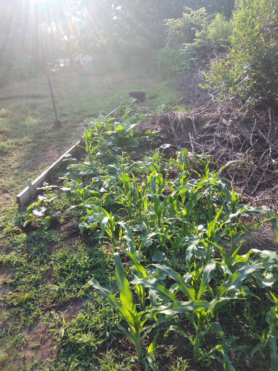 FieldButcher's tweet image. 