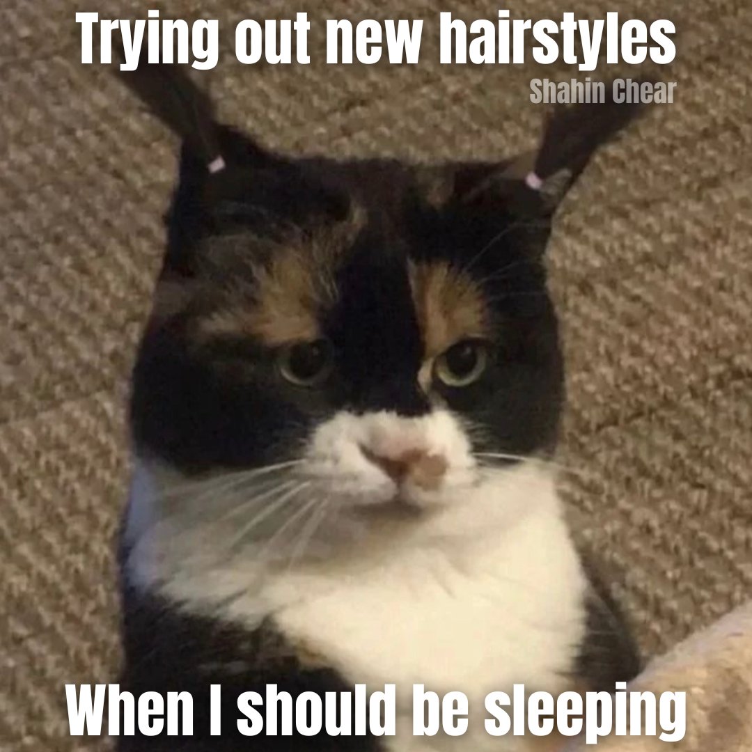 SChearStateFarm's tweet image. Then I wake up the next morning and do the same exact hairstyle🥴🤣
Call or text Shahin Chear at 949-553-1115📱

#statefarminsurance #likeagoodneighbor #persianbusiness #lgbtqfriendly #persian #womenowned #womenleader #artmatters #persianbusinessowner #persianwomenleader