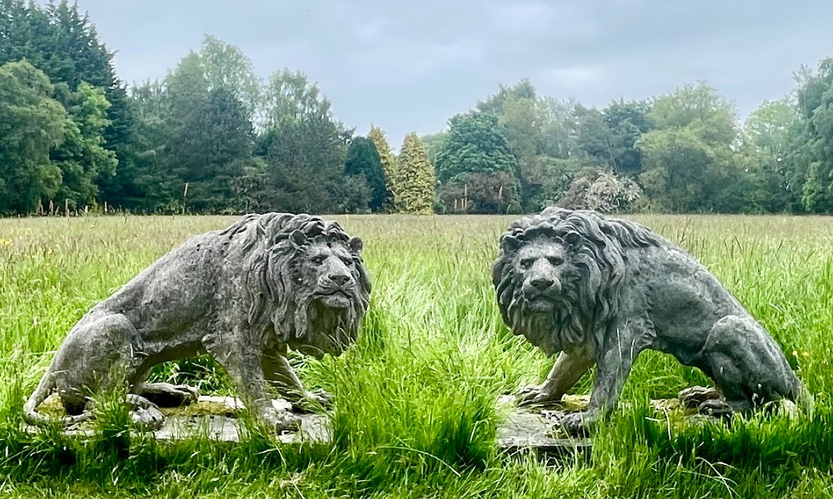 eclectic_garden's tweet photo. Seated Lion Statues - These magnificent beasts will certainly add 'wow' factor with their captivating gaze and impressive scale.
 https://t.co/IOztD56XnX https://t.co/kHTZEYFfpU