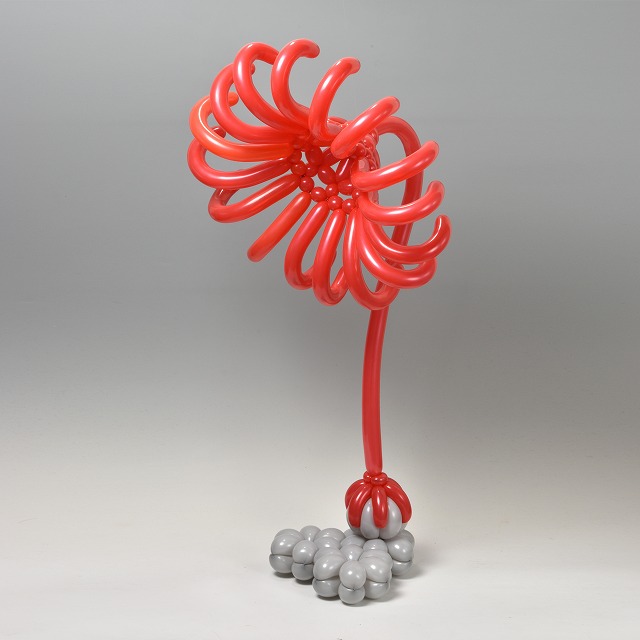 バルーンでウミユリ
#balloonart #SeaLily #バルーンアート
