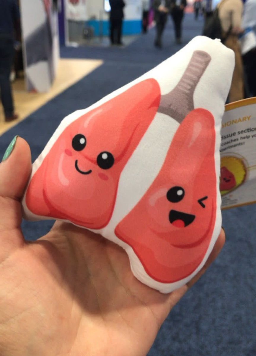 rhiannabaldi's tweet photo. 100% my favourite bit of stash from this year’s conference #ATS2023 @Compresstome1 https://t.co/lkNw9DnXRu