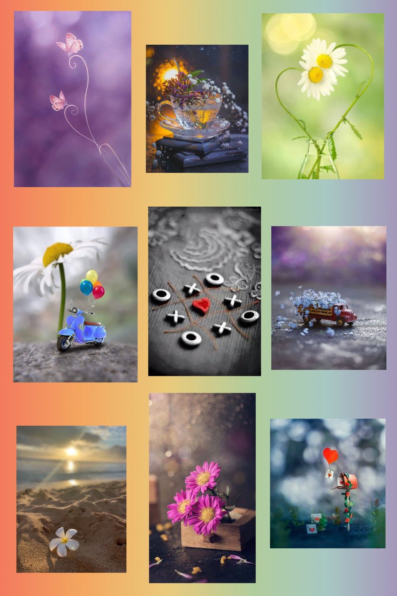 ♪♪.° ·̩͙  ✱･ω･*)ﾉ  ♪ૢ•*¨*•.¸¸♬

 Have a nice day.  🌼✿⌒✿🌼✿⌒✿🌼

✼••┈┈••✼••┈┈••✼••┈┈••✼••┈┈••✼••┈┈••✼••┈┈••✼