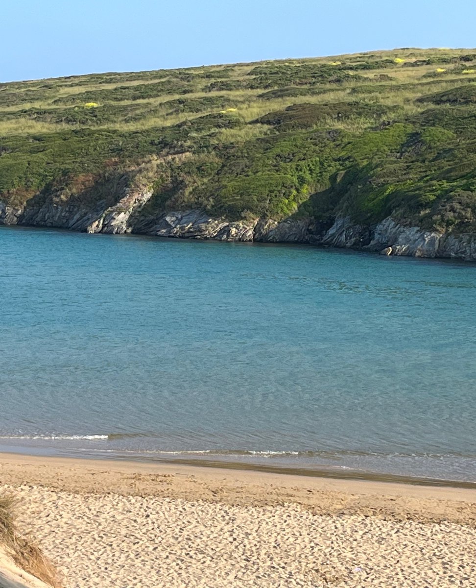 Bluekite Creative tweet media