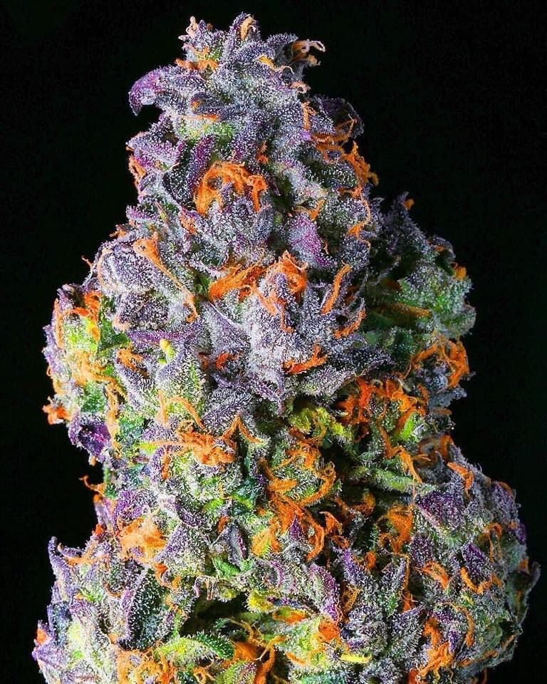 Bud Box puff tweet media