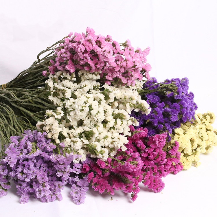 Preserved flowers bunches for making arrangements and bouquets and wreaths etsy.me/3Ce7Dvf #wedding #purple #driedflowers #driedflowerbunches #flowersupplies #floristsupplies #preservedflowers #driedflowers #weddingflowers #diywedding #preservedflowerbunches