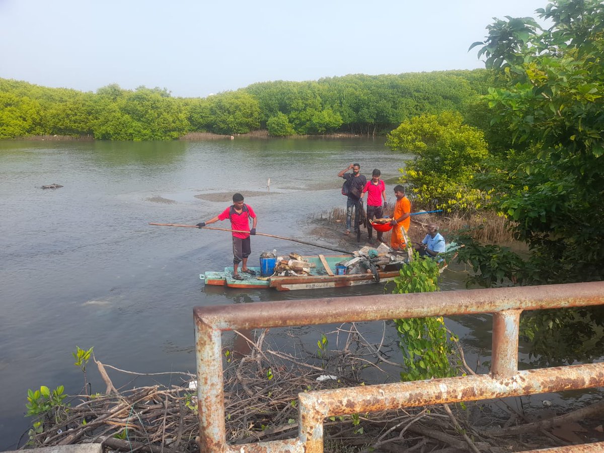 To commemorate #WorldEnvironmentDay, a  #CoastalCleanupdrive was organised by the Collectorate Karaikal with the Karaikal Forest Dept & District Disaster Management Commission The NEWS team in Karaikal participated in this effort to clean up the region's coastal #mangroveforests