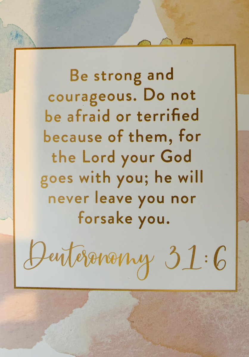 Kelli-Ann Metropulos tweet media