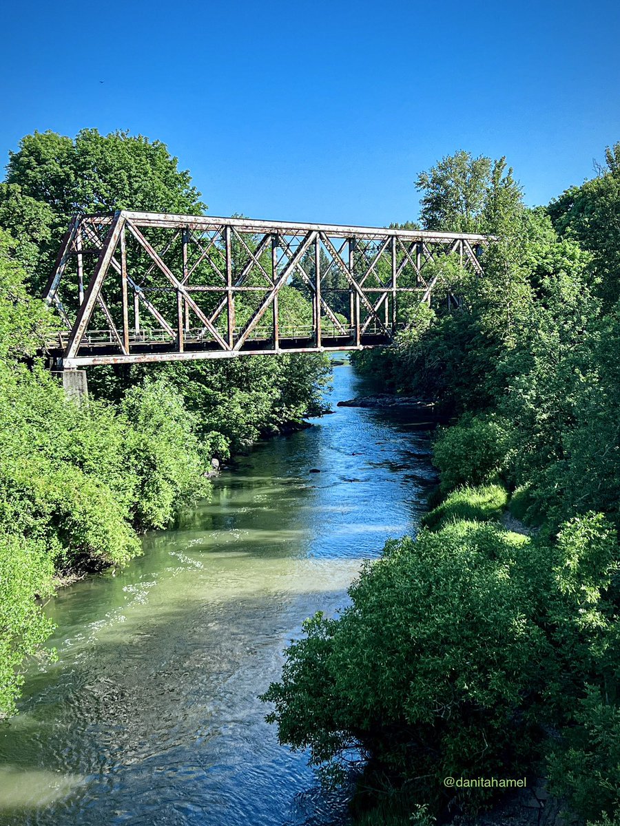 danitahamel's tweet photo. Every path in life has a bridge. The journey is crossing it! 🚂
~ Unknown
#railroadbridge #NaturePhotograhpy https://t.co/QSL5JHt70f