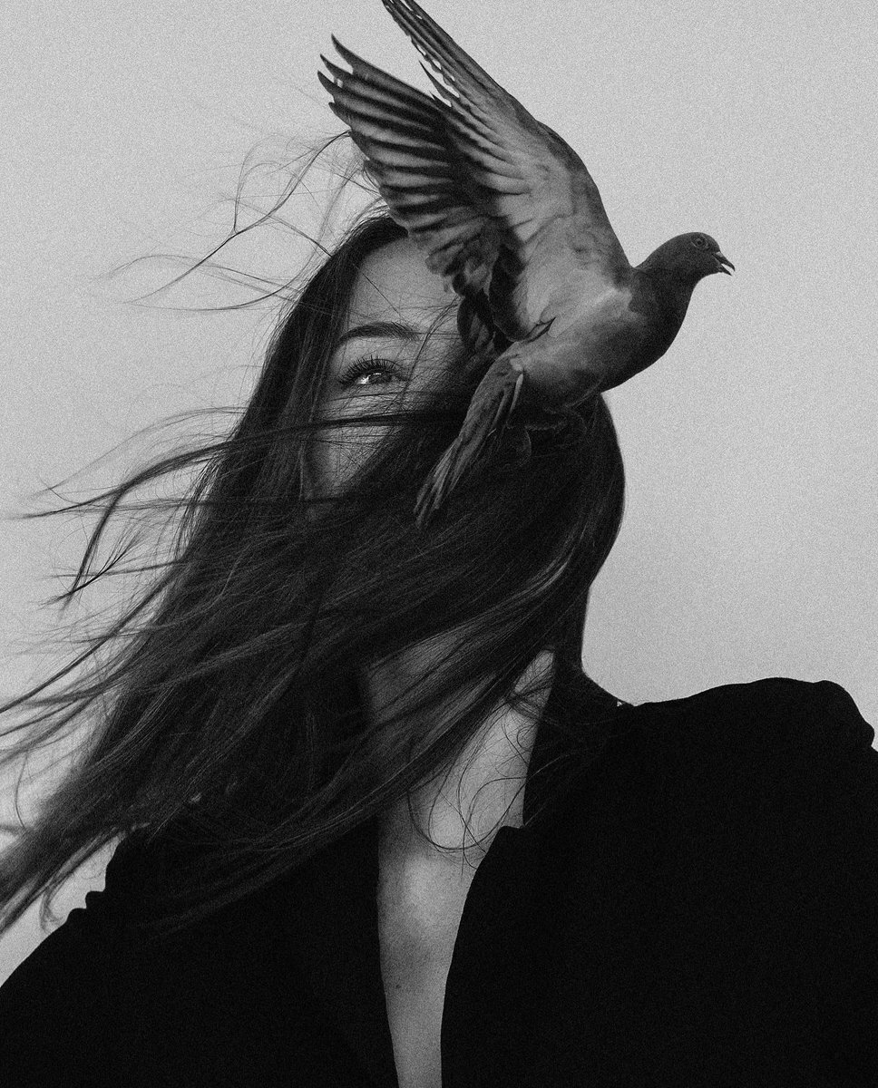 chris tweet media