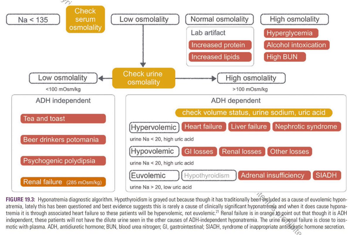 Edgar V. Lerma 🇵🇭 on Twitter "Hyponatremia Diagnostic algorithm 