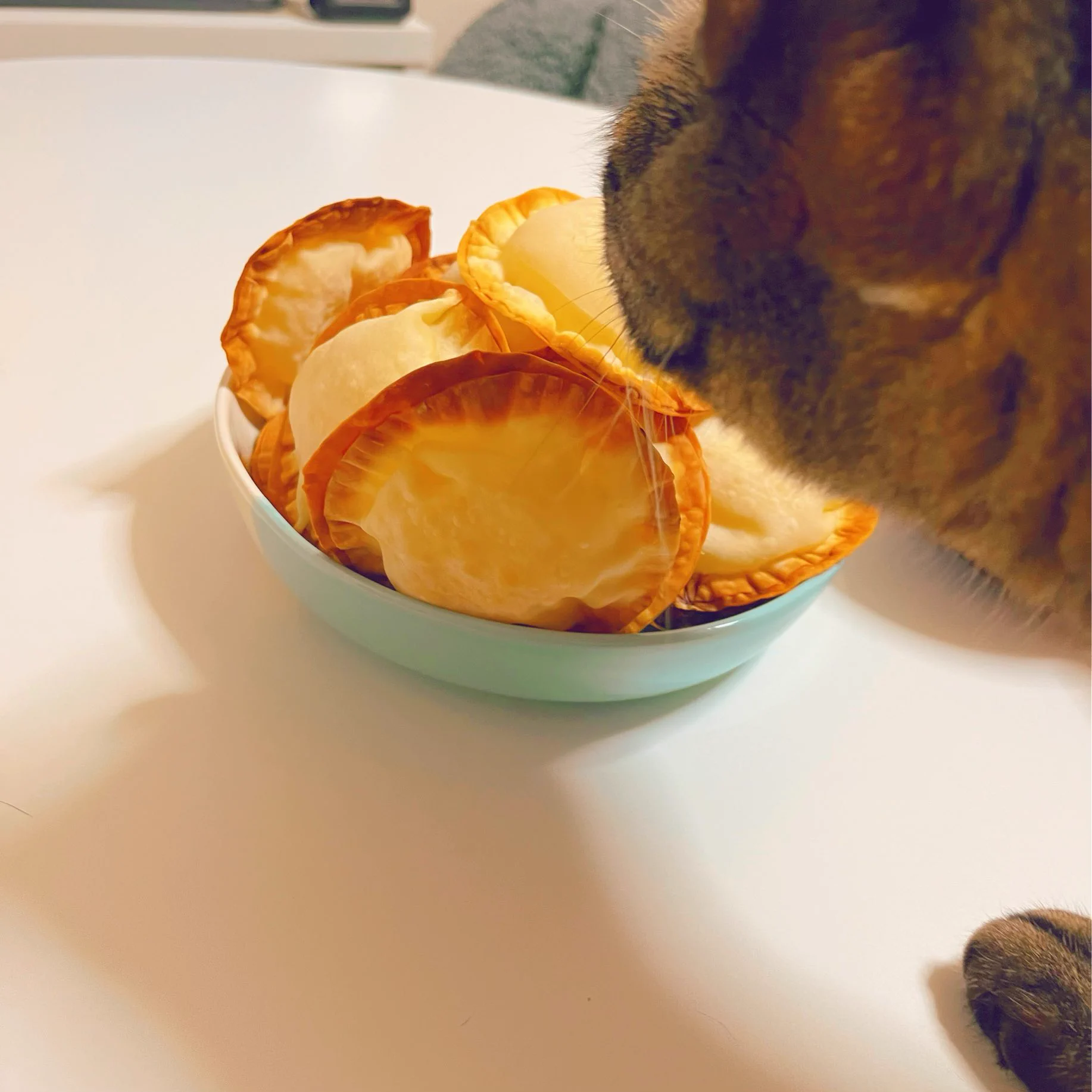 こんな時間にせっせとこれ作ってた🥟✨
ギチギチなの笑う  猫の匂いチェック中🐈‍⬛
美味しいよ～～！チーズ入りおすすめ～～！！！！映画観ながら片手で食ってる！！  