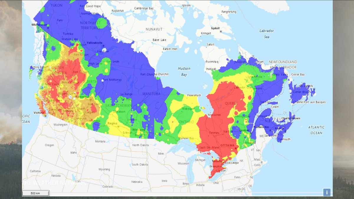Chris Murphy TWN tweet media
