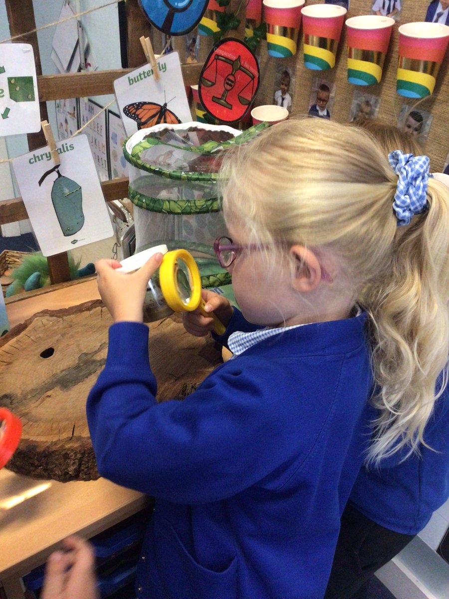 Canon_Reception's tweet image. Reception have met their new creepy crawly class caterpillars this morning… We can’t wait to learn more about them and observe them over the next couple of weeks! 🔎🐛🦋 @Cornerstonesedu #CreepCrawlandWriggle #EYFS @CanonSharples @LT_Trust #cspsscience