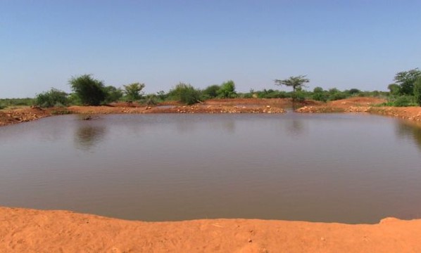 WRA_KEN's tweet photo. Importance of a water pan.
*Water Conservation: Collect & store rainwater.
*Livestock & Agriculture: Reliable water source for animals, irrigation, and farming.
*Community Resilience: Ensure water supply during droughts.
#Accountingforeverydrop #watersecurity #waterpans https://t.co/1qv3e4kaHl