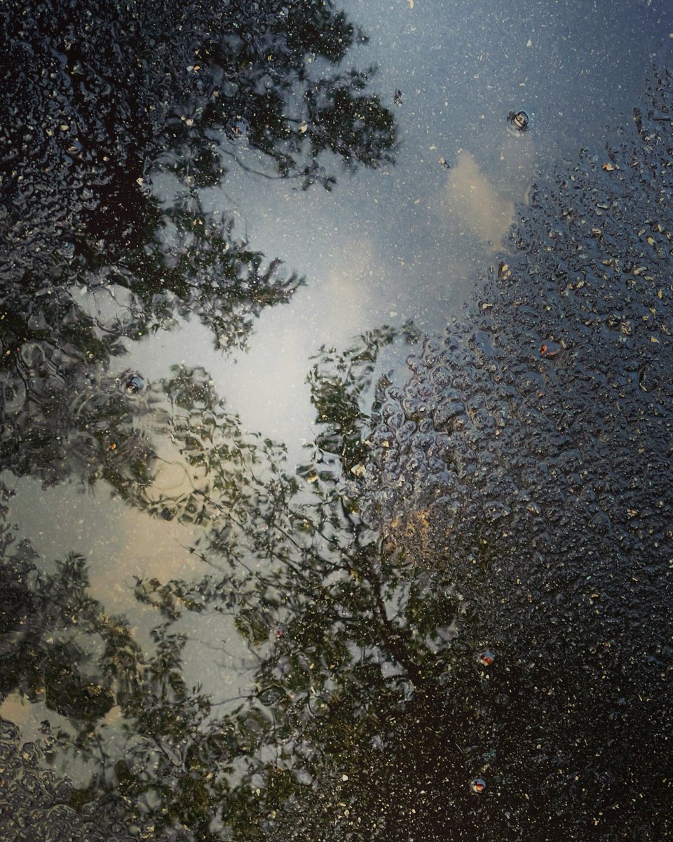 Reflections… #Sonya7iii #MorningShots.. #Puddles