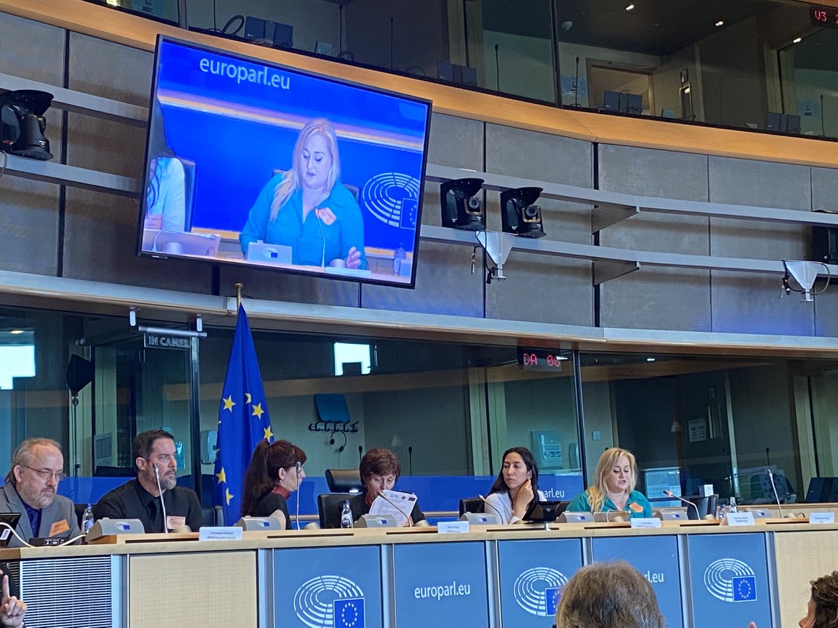 📢 Anastasia Campbell, the SHAPES project manager, takes the stage at the European Parliament today! 🇪🇺 TAG SHAPES #EU #InclusiveTech #SHAPESProject