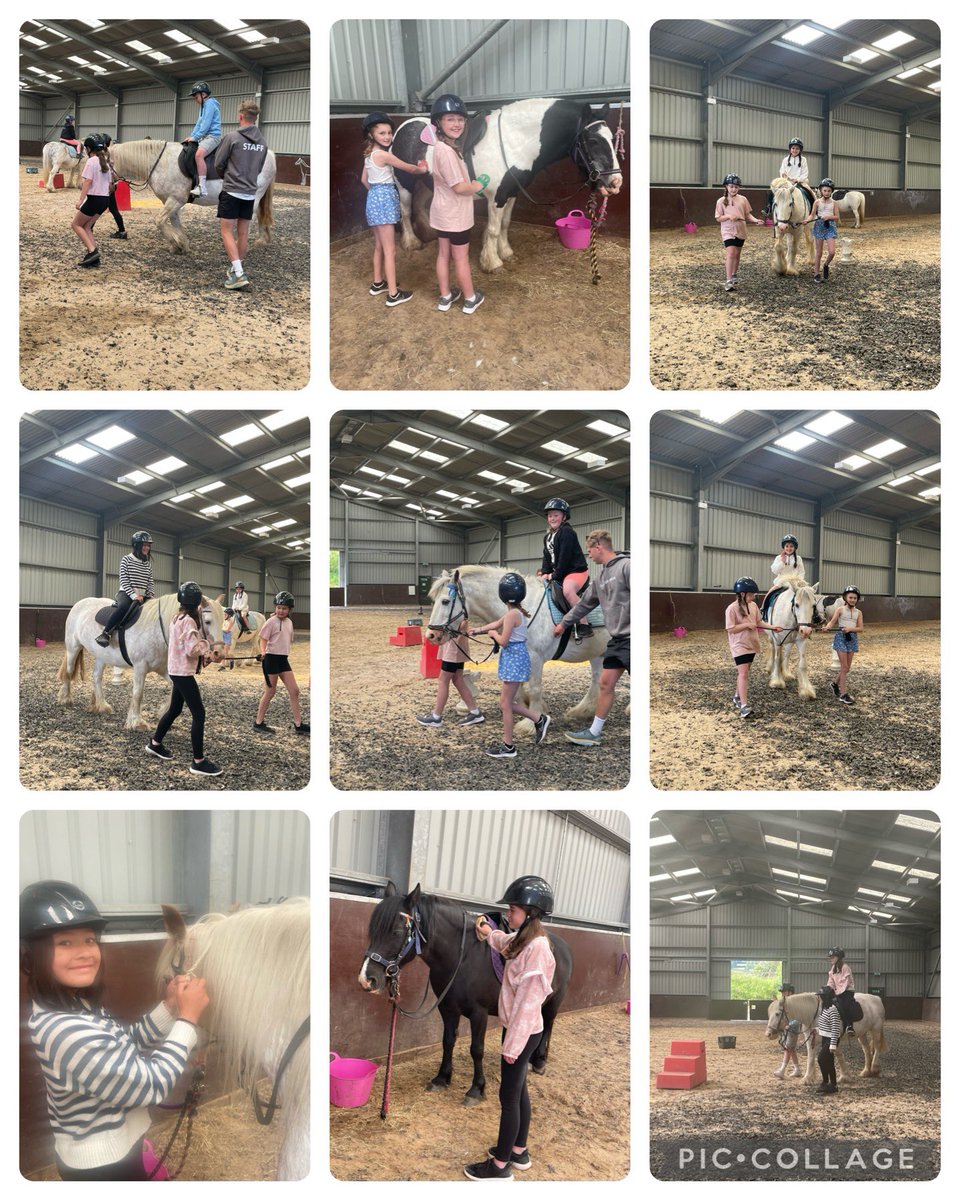 Rhigos Primary tweet media