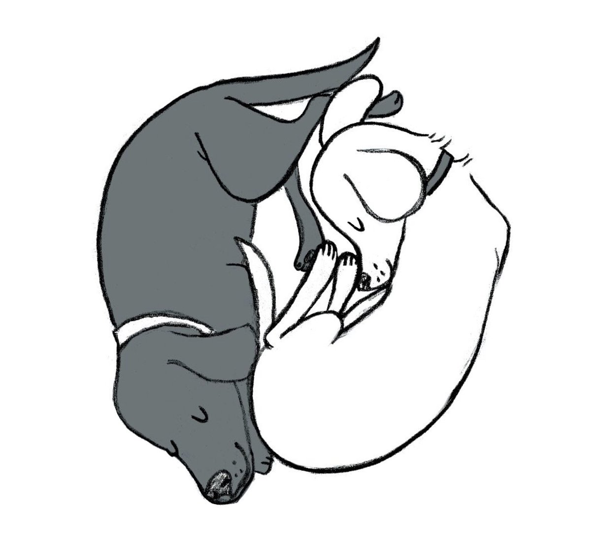 violetlemay's tweet photo. Hope your week is off to a good start. Hereβs an illustration from my book NY Dogs. π€π€ #violetlemay #illustration #amwriting #nydogs #dogsoftwitter #yinyang #peace #scbwi #mbartists #dogmom https://t.co/nOAS63Rujx