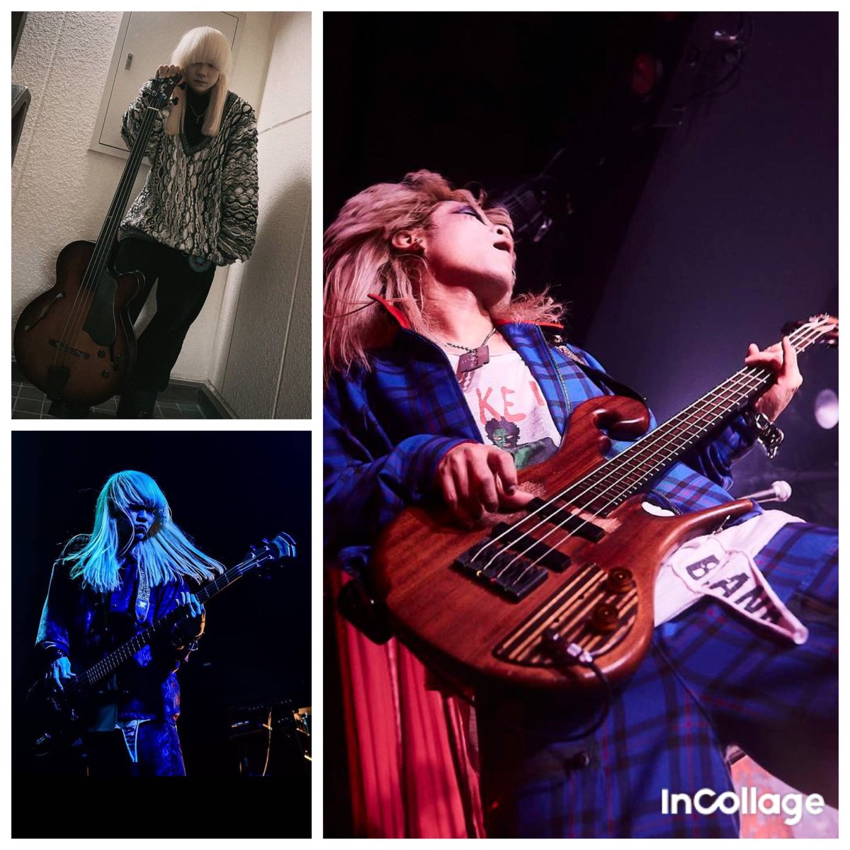 mihta449's tweet photo. #楽器の日
#ベース
#CarlThompson
#Modulus
#首振りDolls
@kubihuri_shawn
おにゅーのコの名前が分かんない😢
でも首振りさんのアコースティックライブでいつか出て来てくれるかな?と期待の新人✨ https://t.co/8yehJVbzgT