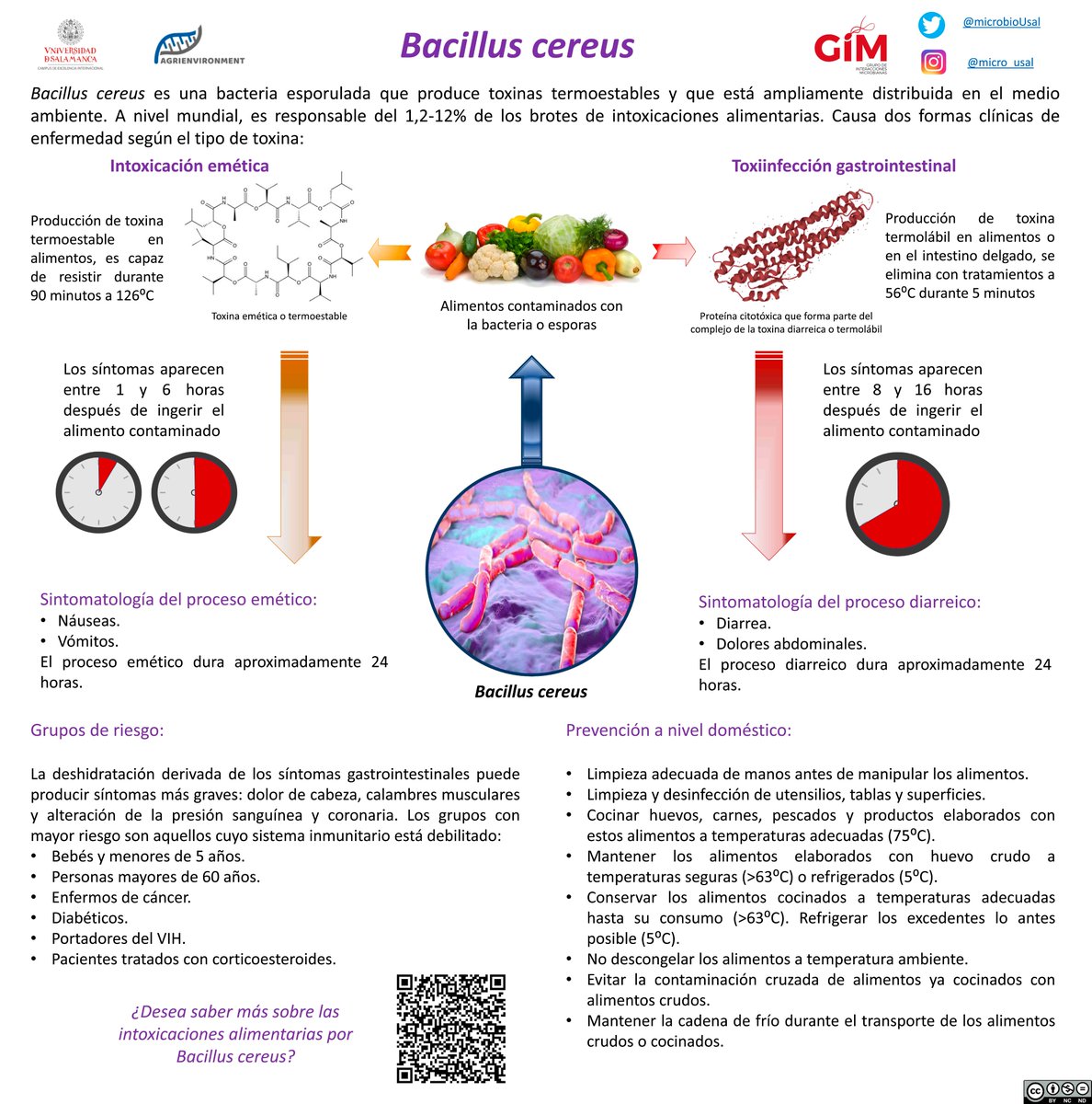 RaulRivasG's tweet photo. Bacillus cereus es una bacteria que causa intoxicaciones alimentarias. Hemos hecho una infografía con algo de información al respecto. #alimentos #intoxicación #toxina https://t.co/D0BgF3wi8z