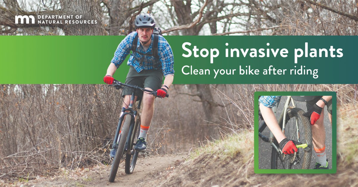 mnforestry's tweet image. 545 US threatened or endangered species are at risk because of invasive species. You can help by making #PlayCleanGo part of all your adventures by cleaning your gear and your ride before and after new adventures! #PlayCleanGoWeek