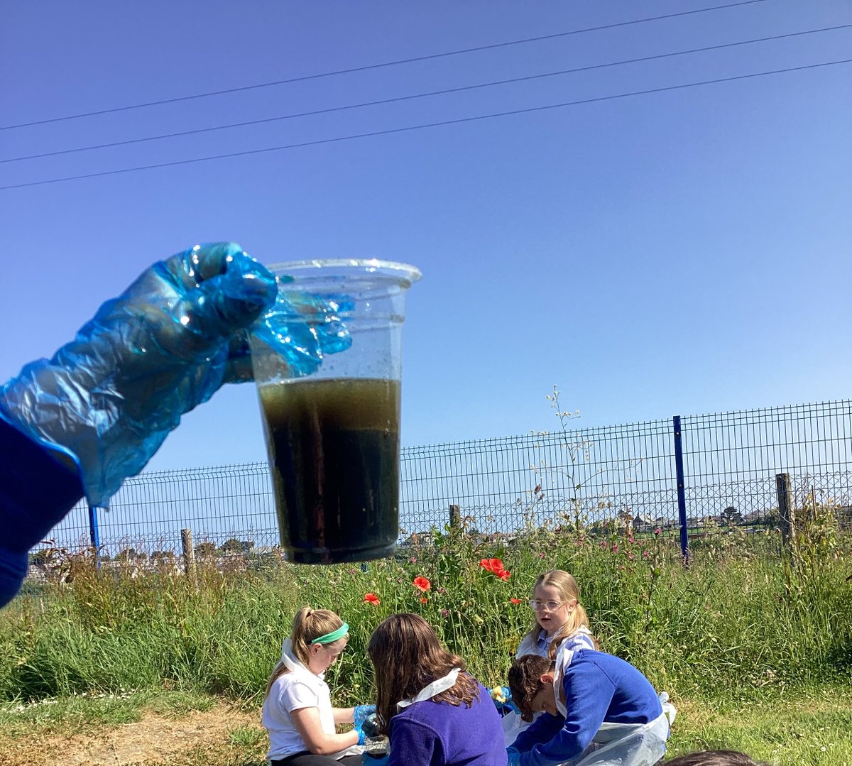 Class 3 worked as scientists to experiment how to separate water &amp; oil this week, as they will be learning more about the Torrey Canyon Oil Spill that happened off the coast of Cornwall in 1967. How do experts clear up an oil spill &amp; what affect does it leave on the environment?