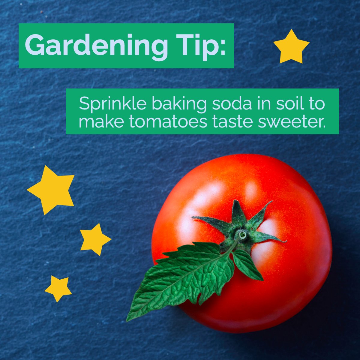 Gardening Tip:

Bicarb soda helps lower the acid levels in the soil, which makes tomatoes sweeter. 🍅🌿

#tomatoes🍅    #gardeninglife    #gardeningtips    #gardeninggoals    #homegrowntomatoes    #organicgardening 
#HomeSoldByDawn #WestChesterRealtor