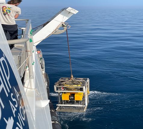 Du 22 au 26 mai, une mission ECALION d’exploration des canyons du golfe du Lion a été organisée par le Parc Naturel Marin du golfe du Lion. Stéphane Hourdez, chargé de recherches CNRS au LECOB, a participé à cette mission à bord du Janus II (SAAS) avec les ROV Achilles et Apache.