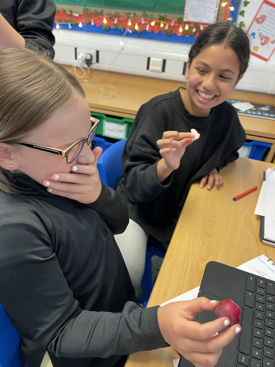 GUPSYear6 tweet media