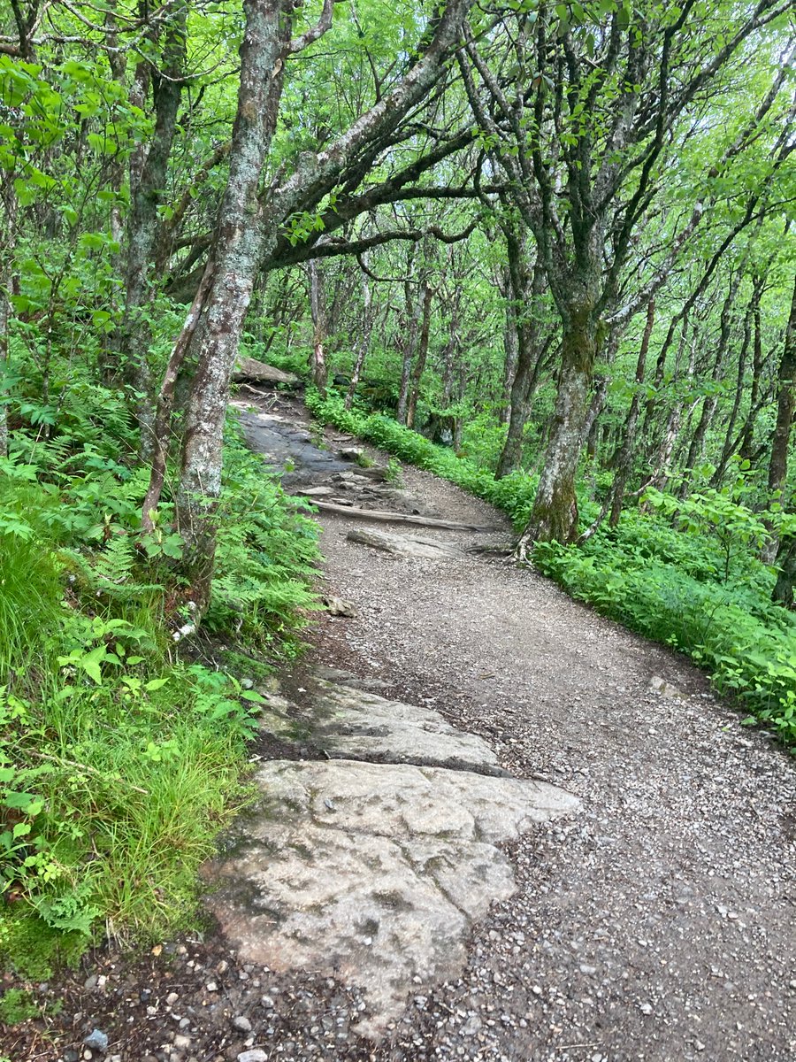 CandisAshley's tweet photo. Morning hike to craggy pinnacle #avl https://t.co/ZTSKu3lc1K