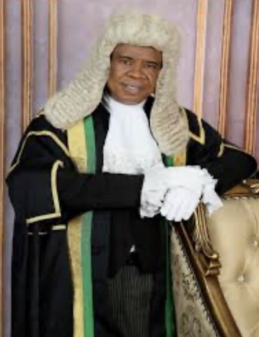 T€€ 🦊🦅 tweet media