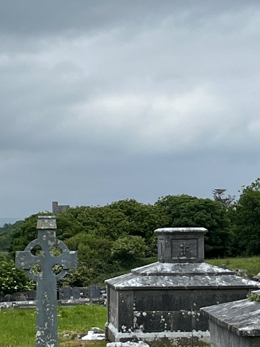 North wall of St Brendan’s cathedral Ardfert. The tower of the Franciscan friary peeps above treeline as you look due east (look above Celtic cross monument) #Kerry 

5 June 2022