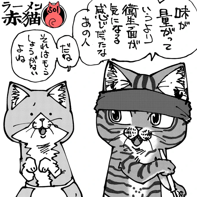 気になる人は気になるものね #ラーメン赤猫 #ジャンププラス 61話   毎日更新500日突破してた!