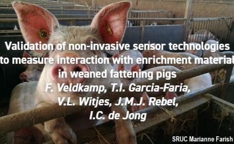 #Newresearchalert
Veldkamp et al. "Validation of non-invasive sensor technologies to measure interaction with enrichment material in weaned fattening pigs". 
Get the open access article here: applied-ethology.org/Papers_by_Memb…

#fatteningpigs #PLF #enrichmentbehaviour