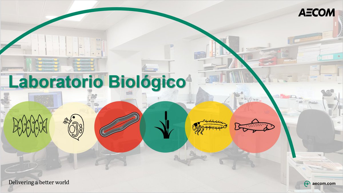 carafa_roberta's tweet photo. Este fin de semana se celebra la fiesta de la Ciencia en Barcelona. El laboratorio de Limnología y Calidad de @AECOM BCN participará con una actividad para l@s peques!! Os esperamos:
https://t.co/bqCNxpFu0o
@MSCActions  @accio_cat  @H2020_impact @FonsUECat 👩🏼‍🔬🔬 #WATERSCAN https://t.co/njmk8mBcrG