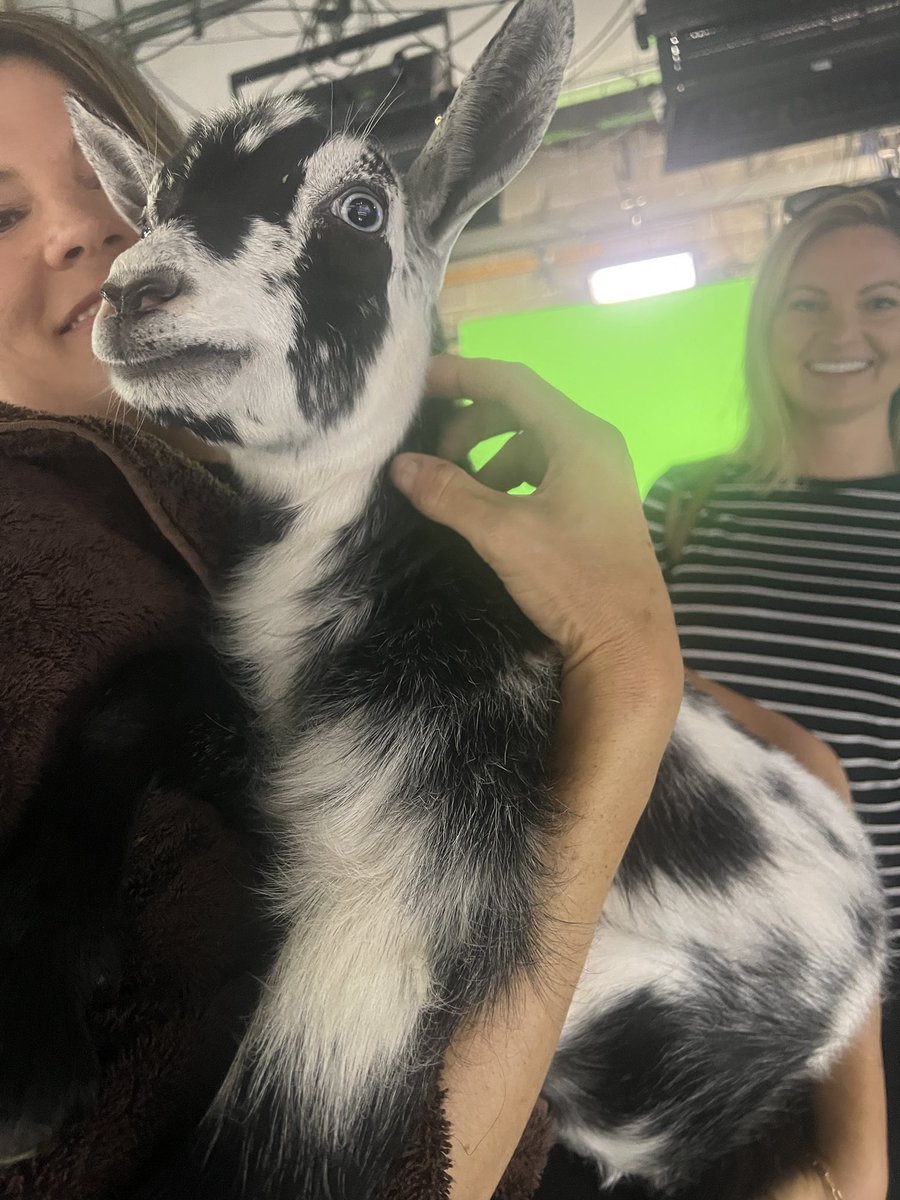I ❤️ our new friend in the <a href="/Local12/">Local 12/WKRC-TV</a> studio. Meet Mocha! You can meet Mocha at Charm at the Farm in Lebanon. 115 vendors will be there starting this weekend!