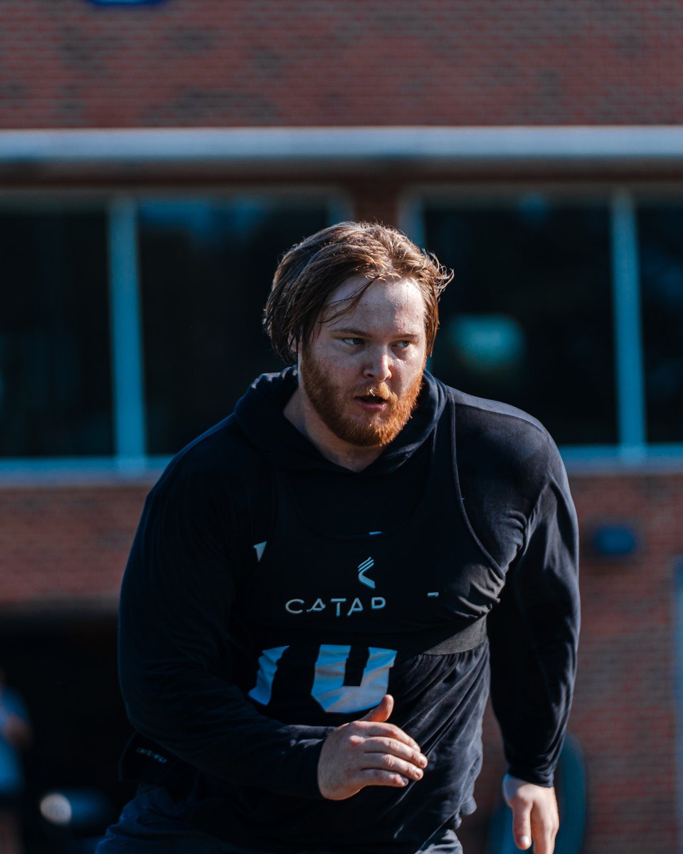 MemphisFB tweet picture