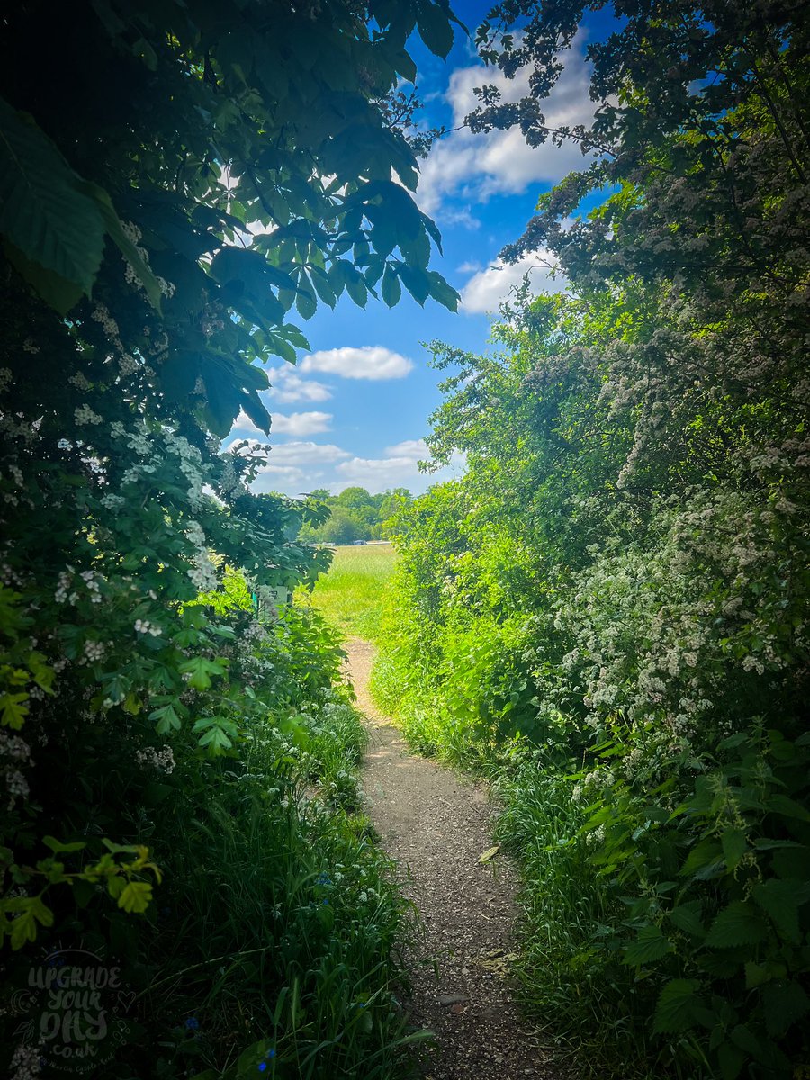 Martin Cabble-Reid | Upgrade Your Day tweet media