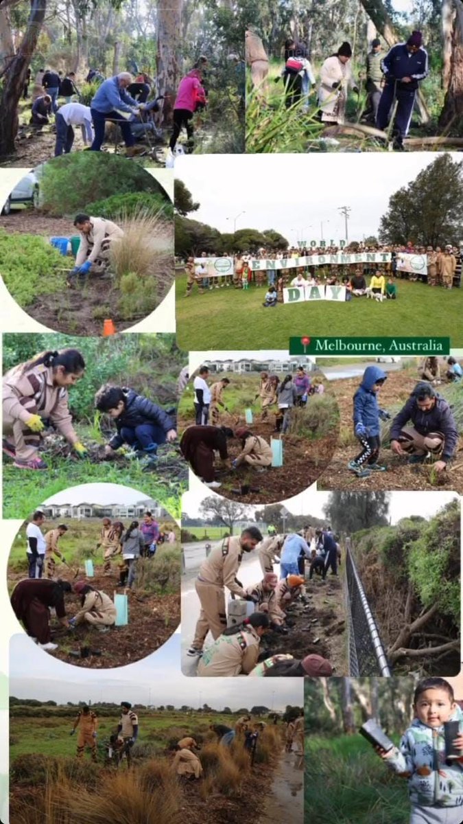 #EnvironmentWarriors DSS followers under the guidance of #SaintMSG spend millions 🎄 every year to keep 🌏 a green & clean environment.
 #EcoWarriors
 #GreenWarriors
 #ReduceCarbonFootprint
 #EnvironmentDayCelebration #MillionsAgainstClimateChange #ComeTogetherForEnvironment