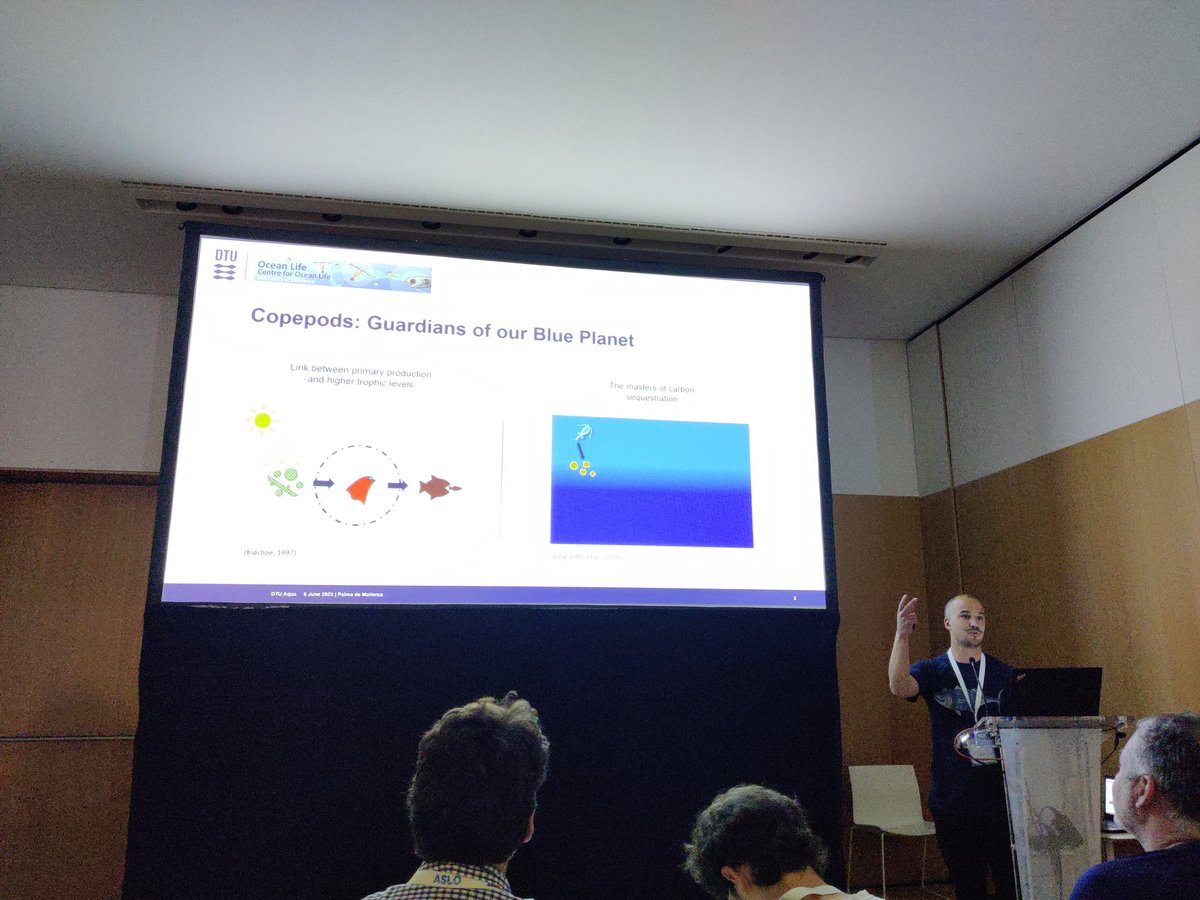 OceanLifeCentre's tweet photo. The afternoon started with  @TKandylas's talk about several interesting global features of copepods derived from the NUM model, developed in our centre. All these outputs could be interesting in further research addressing global patterns or trends in biodiversity! #ASLO23 https://t.co/JoScSMV7et