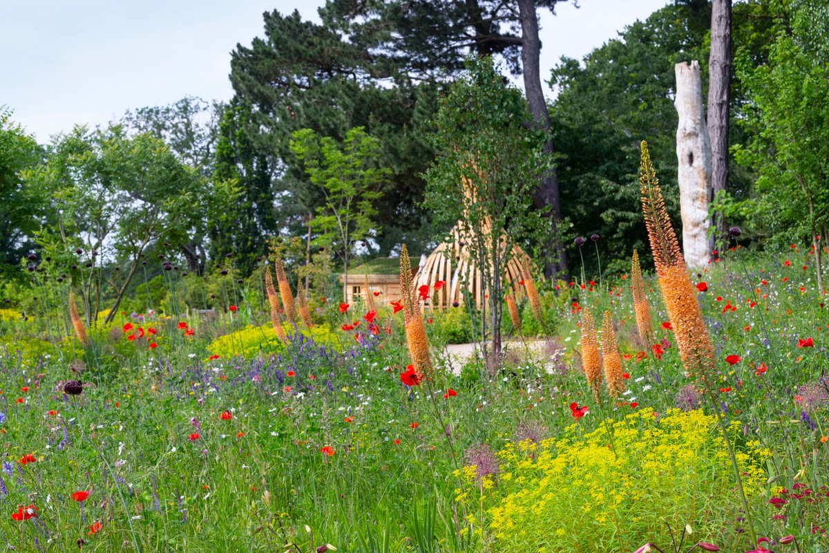 Tune into @SkyArts tonight at 7pm for the next episode of 'The Art of the Garden'.  In the show you'll learn more about the Wildlife Garden and World Food Garden here at RHS Garden Wisley, both designed by @annmariepowell 🌳

rhs.org.uk/wisley