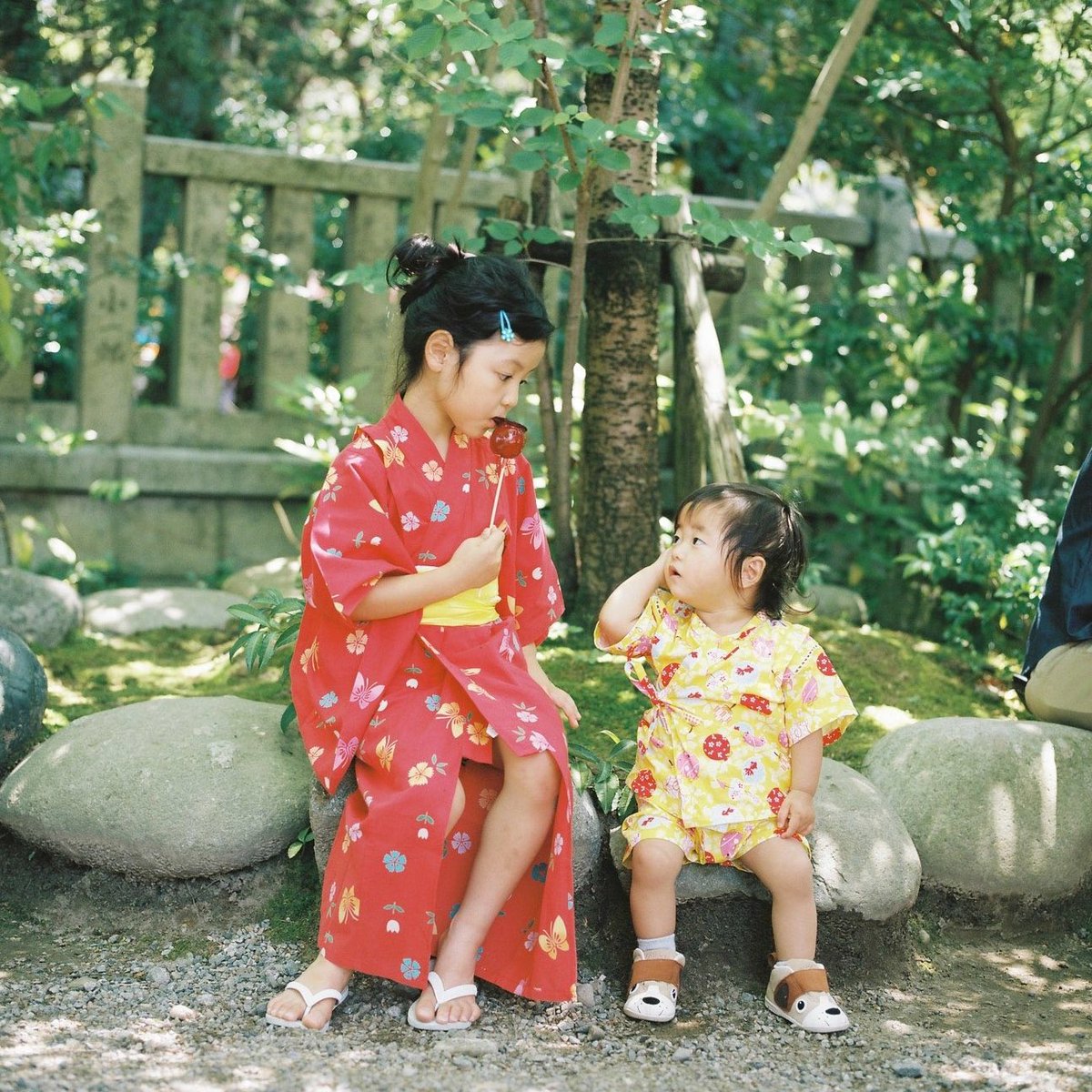 kazkawahara's tweet photo. 真四角写真の中のHOPE

#66の日 https://t.co/PkltC6MMJX