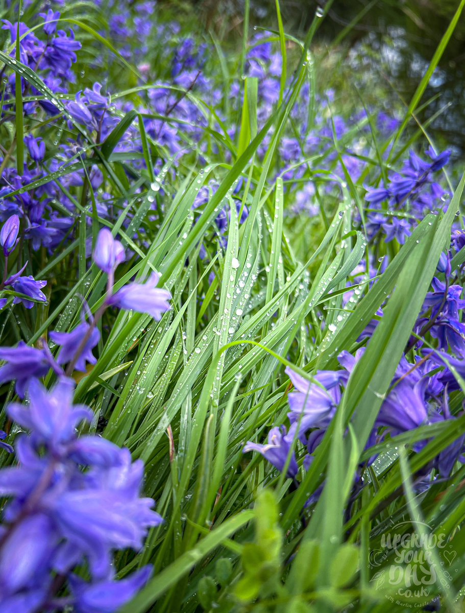 Martin Cabble-Reid | Upgrade Your Day tweet media