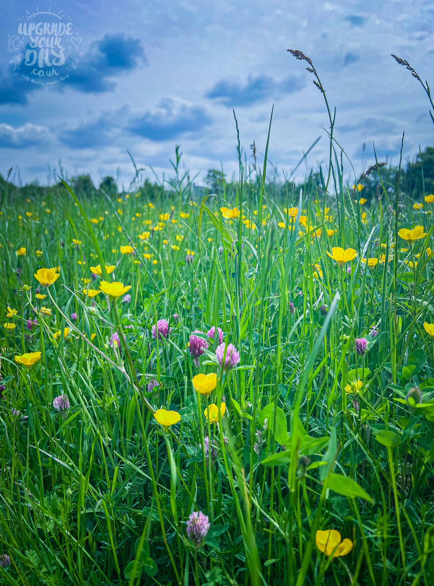 Martin Cabble-Reid | Upgrade Your Day tweet media