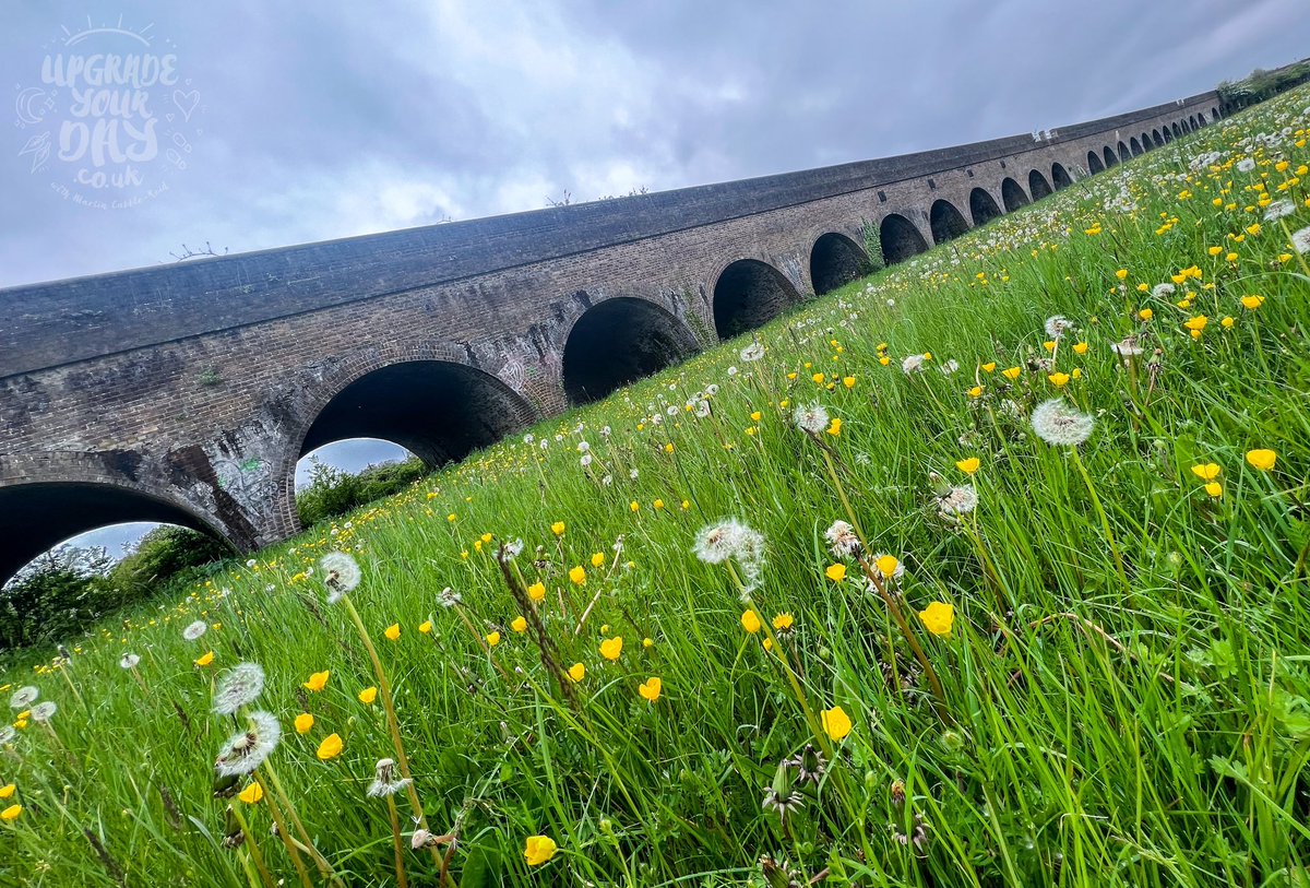 Martin Cabble-Reid | Upgrade Your Day tweet media