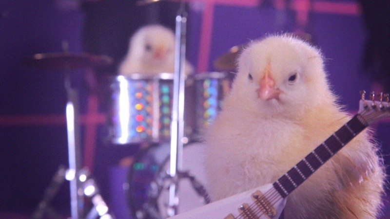 kemp0138's tweet photo. @patriottakes "The Lord's Chicken" will be the title of my next album.

#DeathToFalsePoultrycore🐓🤘🏼 https://t.co/7ozzyb40DZ