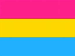 The term #Pansexual became popular in the 1990s and is an attraction to any/all genders. There is confusion and overlap between bi and pan definitions but both are an attraction to plural genders. Many identify as both bi/pan #30DaysOfPride