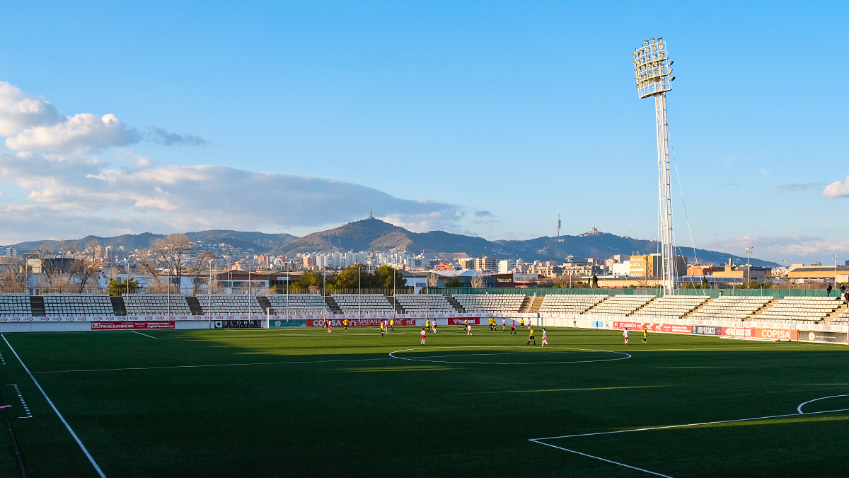 Rayburn Sports Tours tweet media