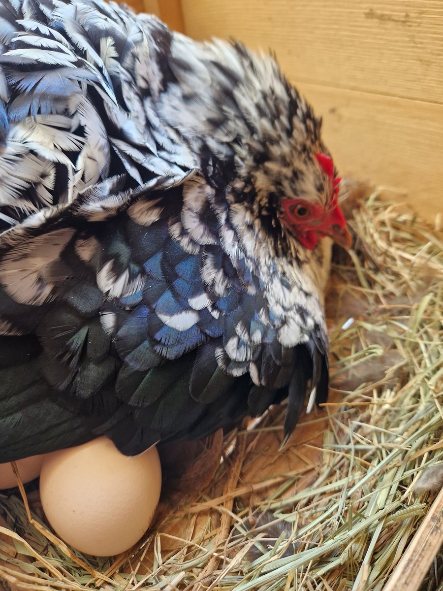 Floor - oh I'm gone tweet media