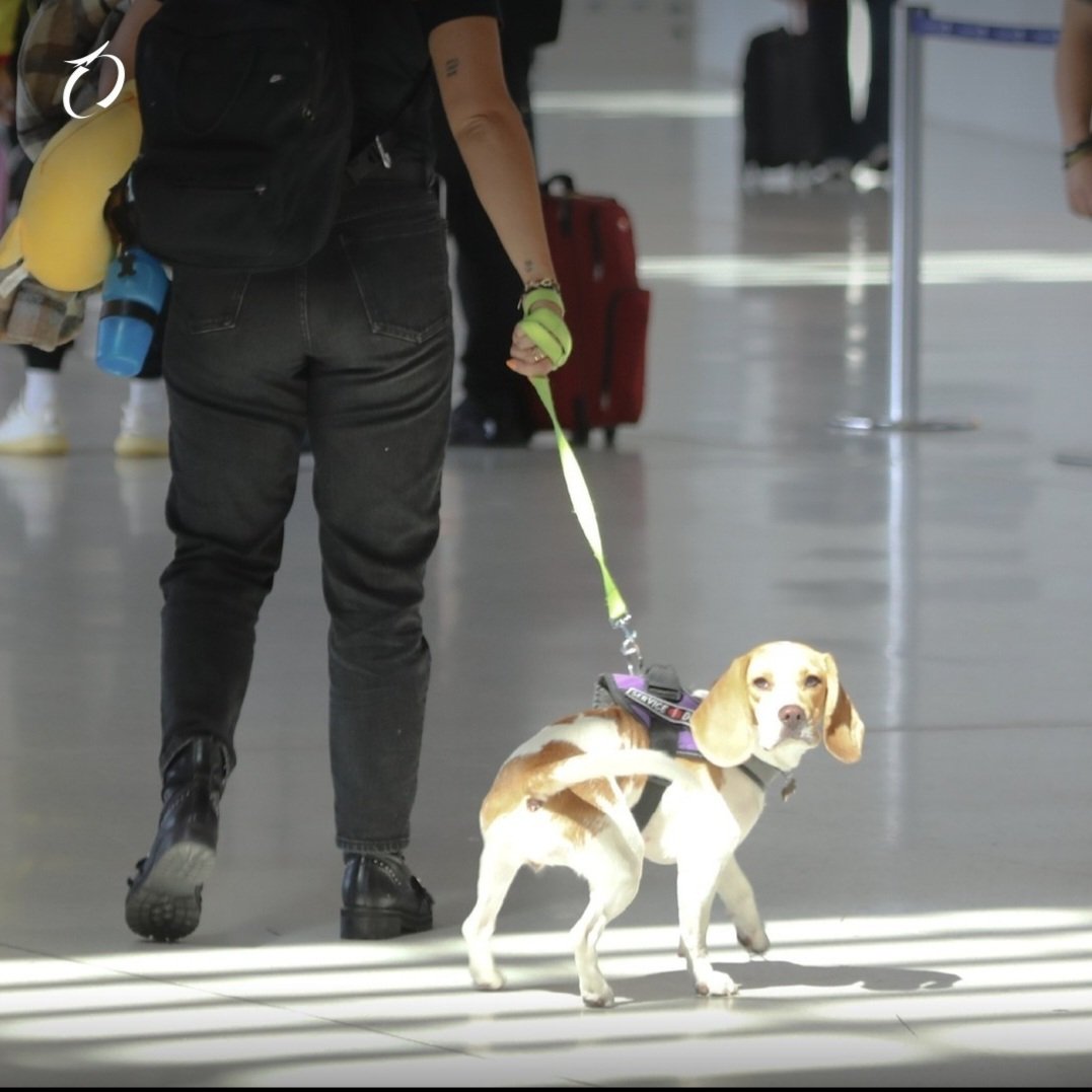 Recuerda que tenemos un espacio especial para tu mascota, el #PetRelief es totalmente gratis y está ubicado justo al frente de la puerta 130 🐶⁠
⁠
¡Todo por nuestros mejores amigos y compañeros de viaje! 🐕‍🦺🐈⁠
⁠
#LaPuertaDeLasAméricas⁠
#AeropuertoDeTocumen⁠
#Mascotas